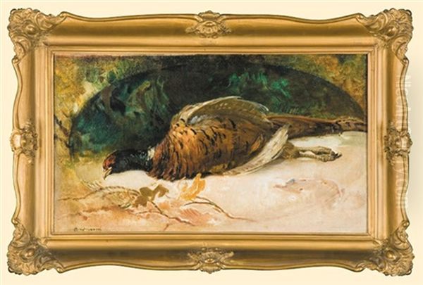 Pheasant Oil Painting by Apoloniusz Kedzierski