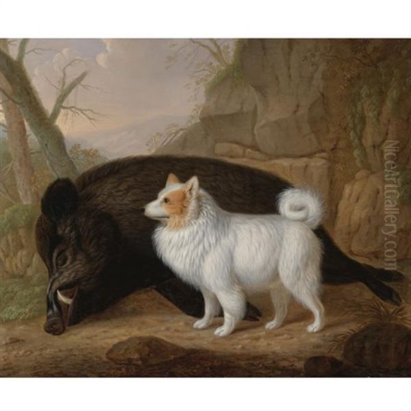 A Giant German Spitz With A Wild Boar Oil Painting by Christian Wilhelm Karl Kehrer