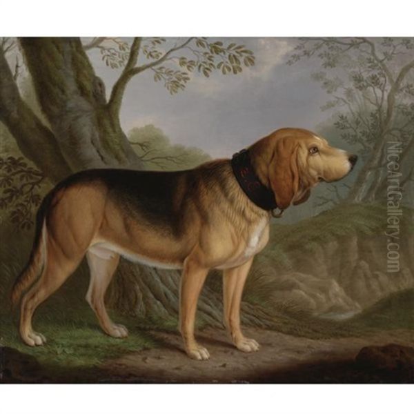 A Bloodhound In A Landscape by Christian Wilhelm Karl Kehrer