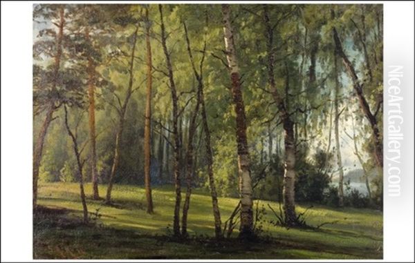 Puistonakyma - Parkutsikt Oil Painting by Sigfrid August Keinanen