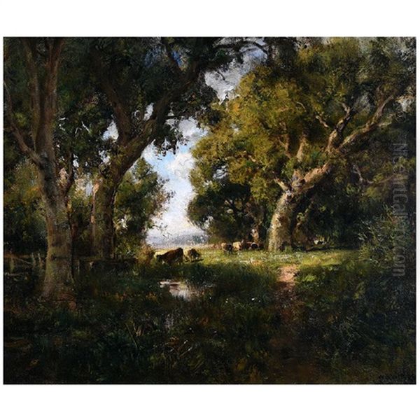 Cattle In Grove Near San Rafael Oil Painting by William Keith