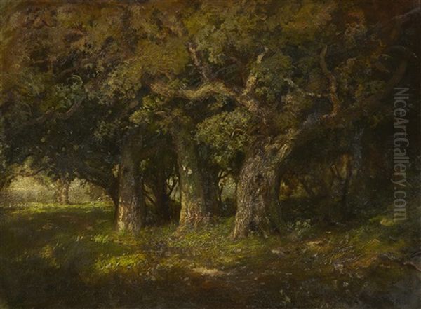 Study Of Oaks Oil Painting by William Keith