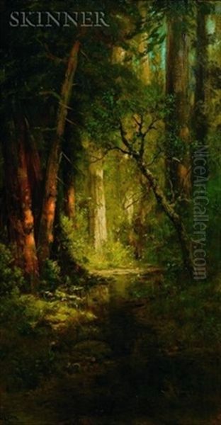 California Redwoods Oil Painting by William Keith