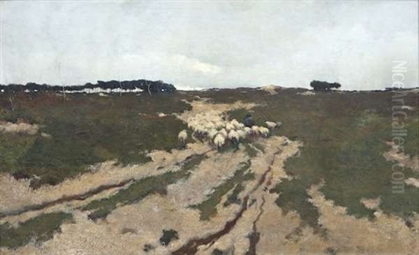 A Shepherd And His Flock Returning Home Oil Painting by William Castle Keith