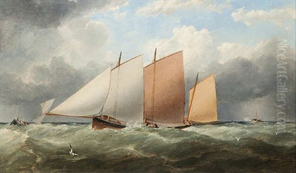 Yacht Racing In Dublin Bay Oil Painting by Matthew Kendrick