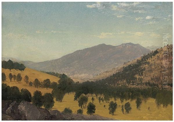 Bergen Park, Colorado Oil Painting by John Frederick Kensett