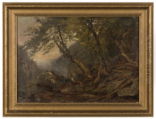 Sketch From Nature Oil Painting by John Frederick Kensett