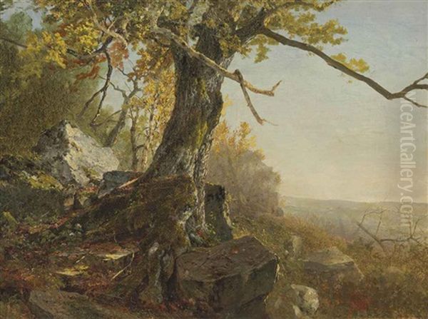 Tree In A Landscape Oil Painting by John Frederick Kensett