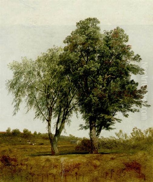 Trees Oil Painting by John Frederick Kensett