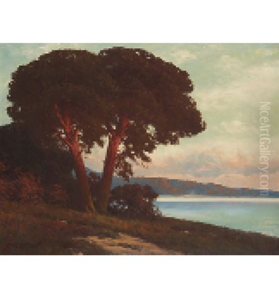 Markisches Seeufer Mit Kiefern Im Abendrot Oil Painting by Carl Kenzler