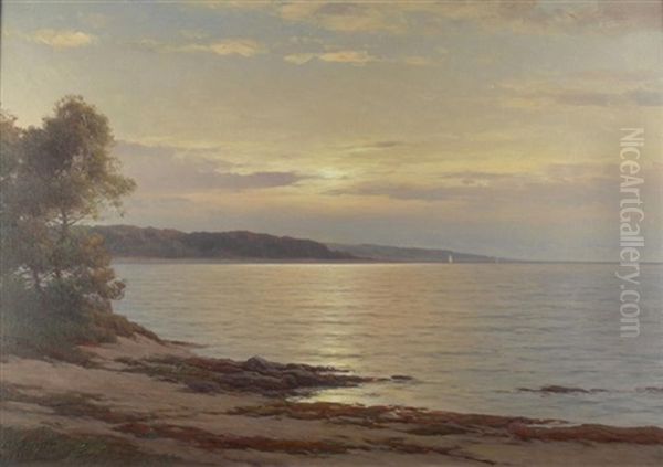 Kustenlandschaft Auf Rugen In Der Abendsonne. Im Hintergrund Ein Einsamer Segler Oil Painting by Carl Kenzler