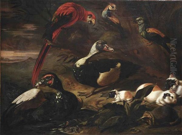 A Landscape With A Scarlet Macaw, Two Ducks, A Hedgehog, Three Guinea Pigs, A Crab And Other Birds Near A Stream Oil Painting by Jaques van de Kerckhove