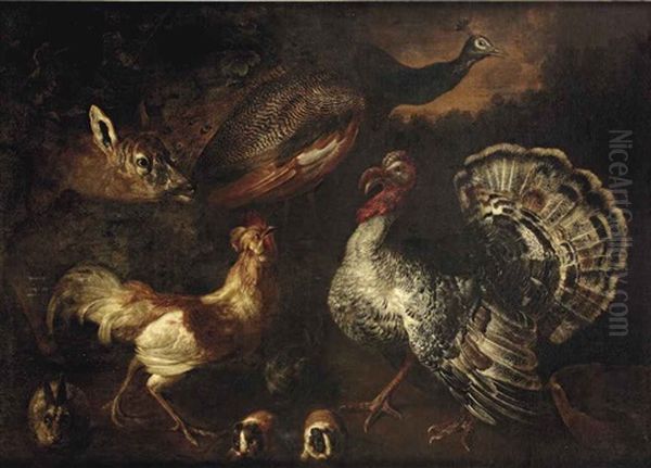 A Wooded Landscape With A Dear, A Peacock, A Turkey And A Cockerel With Rabbits And Guinea-pigs Oil Painting by Jacob van der Kerckhoven