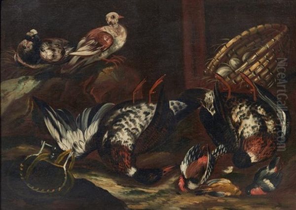 Nature Morte Aux Oiseaux Oil Painting by Jacob van der Kerckhoven