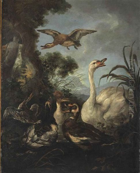 Waterfowl On A Riverbank Oil Painting by Jacob van der Kerckhoven