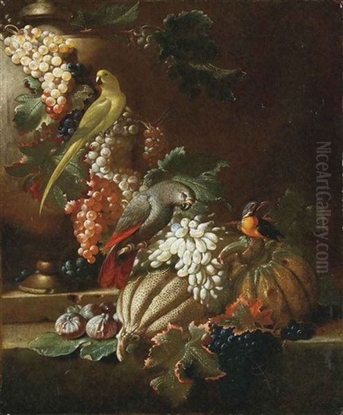 Tralci Di Vite Con Frutta E Pappagalli Oil Painting by Jacob van der Kerckhoven