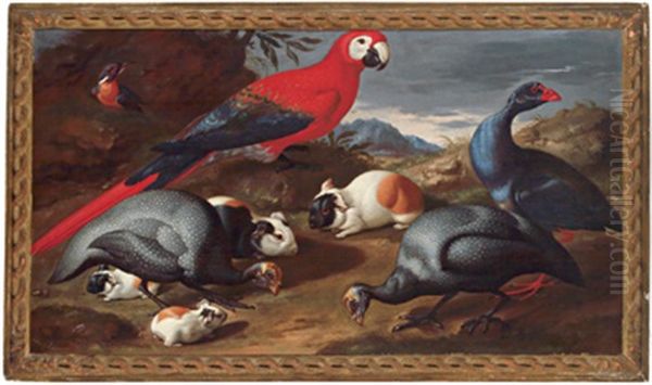 Natura Morta Con Papagallo E Uccelli Oil Painting by Jacob van der Kerckhoven