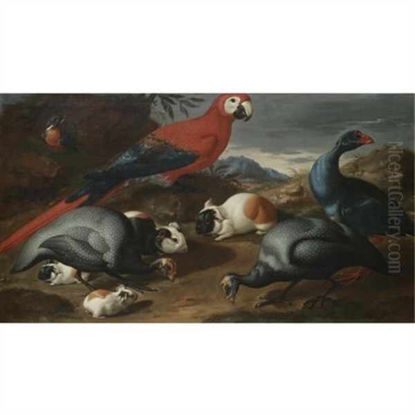 A Still Life With Guinea Pigs, A Parrot And Other Exotic Birds Oil Painting by Jacob van der Kerckhoven