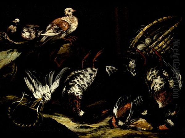 Nature Morte Aux Oiseaux Oil Painting by Jacob van der Kerckhoven