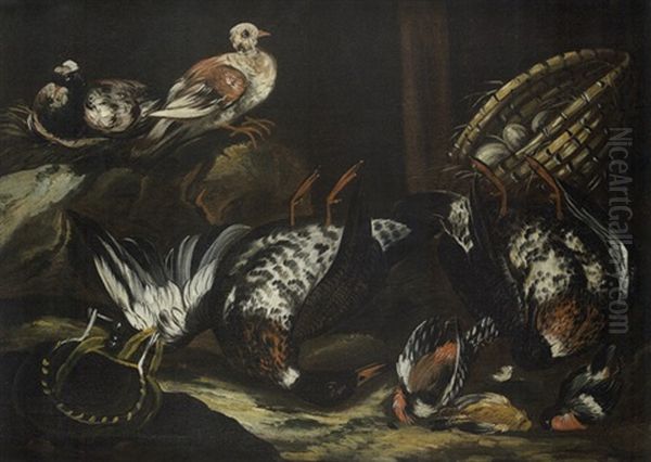 Nature Morte Aux Oiseaux Oil Painting by Jacob van der Kerckhoven