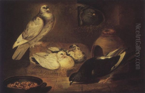 Pigeons In A Barn Oil Painting by Jacob van der Kerckhoven