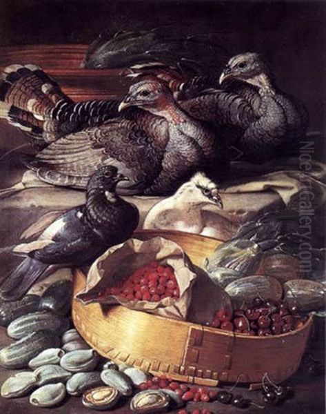 Kalkuner Og Duer Ved Et Dorslag Med Kirsebaer, Skovjordbaer Og Agurker Oil Painting by Jacob van der Kerckhoven