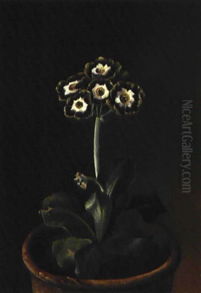 Primula I Lerpotte Oil Painting by Hansine Kern-Eckersberg