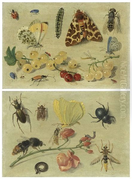 Butterflies, A Garden Tiger Moth And Other Insects With Currants; And Bees, A Butterfly, Beetles And Other Insects With Sweet Peas Oil Painting by Jan van Kessel the Elder