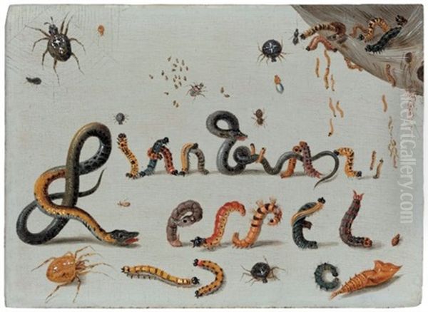 Spiders, Snakes And Caterpillars Entwined To Spell The Artist's Name Oil Painting by Jan van Kessel the Elder