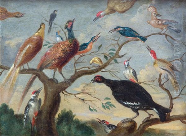 A Concert Of Birds Oil Painting by Jan van Kessel the Elder