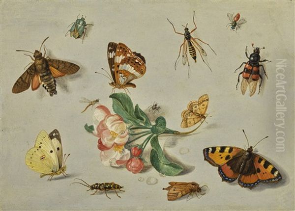 Butterflies, Moths, A Dragonfly And Other Insects, With A Spring Of Apple Blossom Oil Painting by Jan van Kessel the Elder