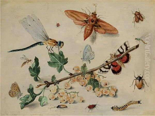 Weisse Johannisbeeren Und Insekten Auf Papierfarbenem Untergrund Oil Painting by Jan van Kessel the Elder