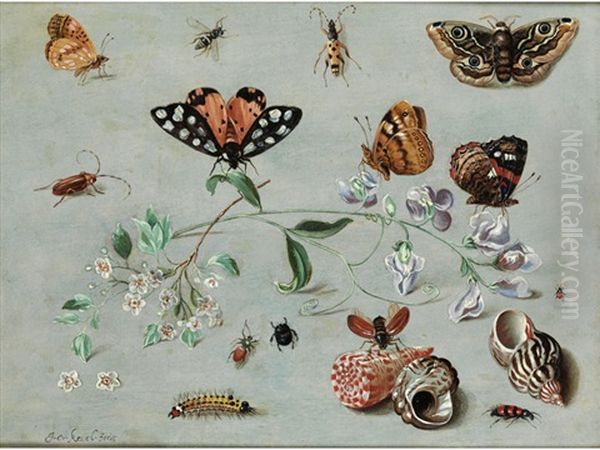 Blutenzweige Umgeben Von Insekten Und Muscheln Oil Painting by Jan van Kessel the Elder