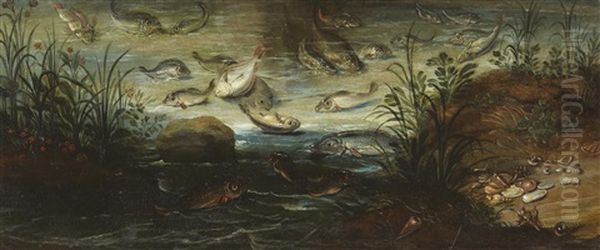 Poissons Et Coquillages Oil Painting by Jan van Kessel the Elder