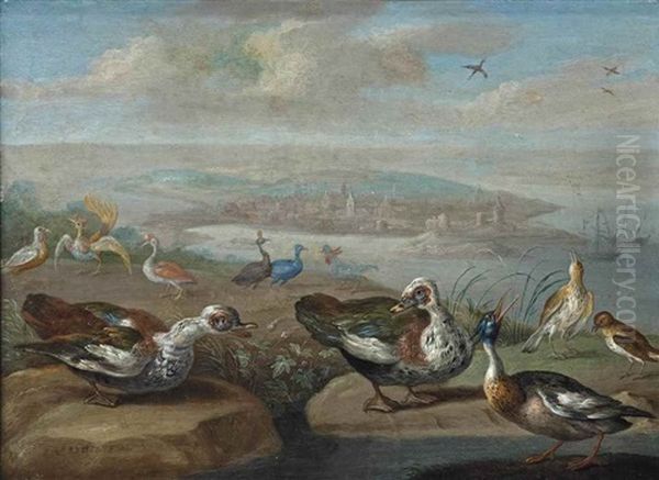 Two Egyptian Geese, A Red-breasted Merganser And Other Birds On A Shore, A Town And Vessels Beyond Oil Painting by Jan van Kessel the Elder