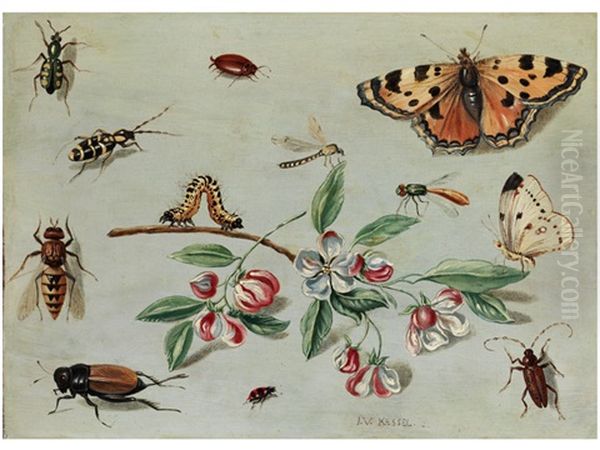 Schmetterlinge, Kafer, Raupe Und Blumenzweig Oil Painting by Jan van Kessel the Elder