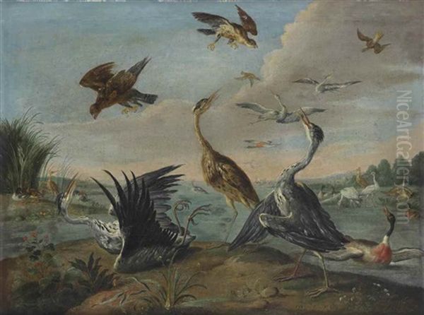 Fighting Herons, Falcons, Ducks And Other Birds In A River Landscape Oil Painting by Jan van Kessel the Elder