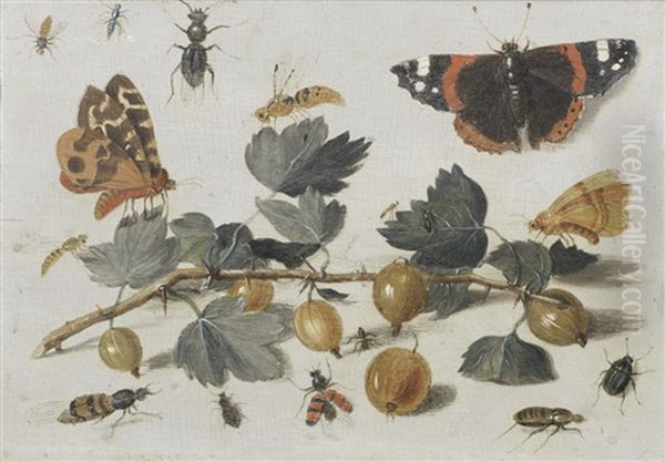 Butterflies, Insects And Gooseberries Oil Painting by Jan van Kessel the Elder