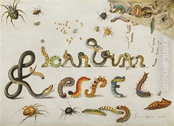 Garden And House Spiders With Grass Snakes And Caterpillars Contorted And Entwined To Spell The Artist's Name; A Sprig Of Redcurrants With An Elephant Hawk Moth, A Ladybird, A Millipede And Other Insects (pair) Oil Painting by Jan van Kessel the Elder