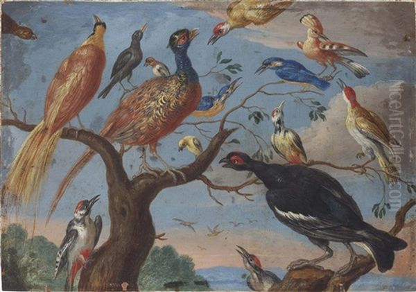 A Concert Of Birds Oil Painting by Jan van Kessel the Elder