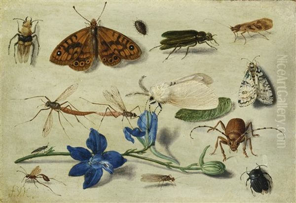 Still Life Of Moths, Insects And A Parma Violet Oil Painting by Jan van Kessel the Elder