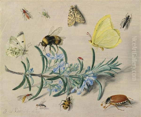 A Still Life Study Of Insects On A Sprig Of Rosemary With Butterflies, A Bumble Bee, Beetles And Other Insects Oil Painting by Jan van Kessel the Elder