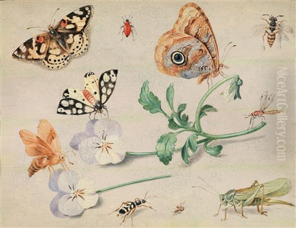 Studie Von Insekten Und Blumen Oil Painting by Jan van Kessel the Elder