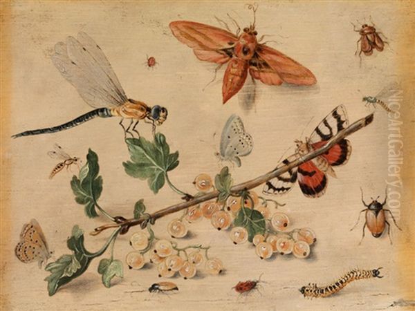 Weisse Johannisbeeren Und Insekten Auf Papierfarbenem Untergrund Oil Painting by Jan van Kessel the Elder