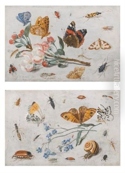 Study Of Insects, Butterflies And A Snail With A Sprig Of Forget-me-nots; Study Of Butterflies And Other Insects With A Sprig Of Apple Blossom (pair) Oil Painting by Jan van Kessel the Elder