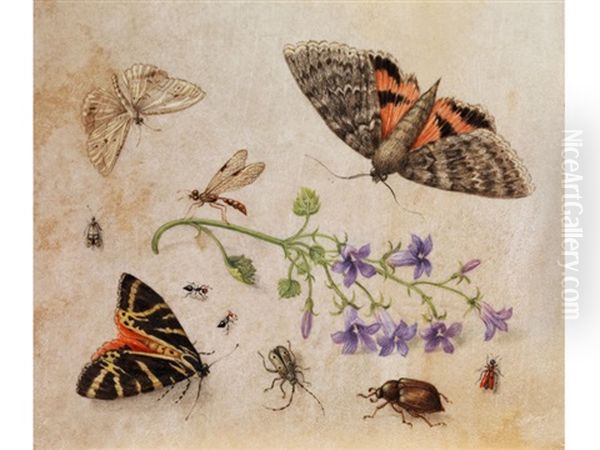 Insekten Um Einen Blattstiel Mit Glockenblumen Gruppiert Oil Painting by Jan van Kessel the Elder