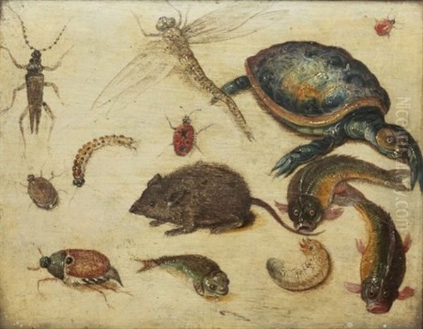 Studie Av Djur Och Insekter (collab. W/studio) Oil Painting by Jan van Kessel the Elder