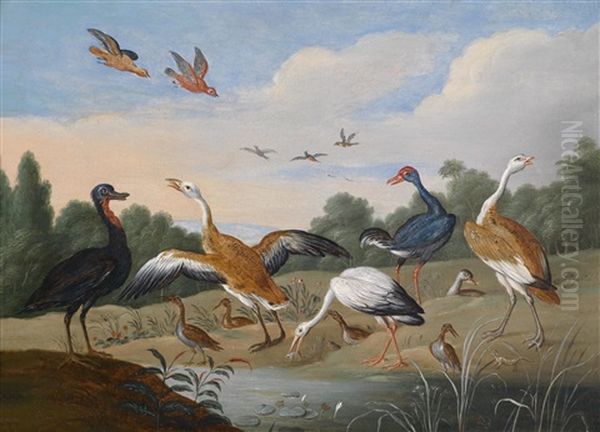 Reiher Und Enten An Einem Fluslauf Oil Painting by Jan van Kessel the Elder