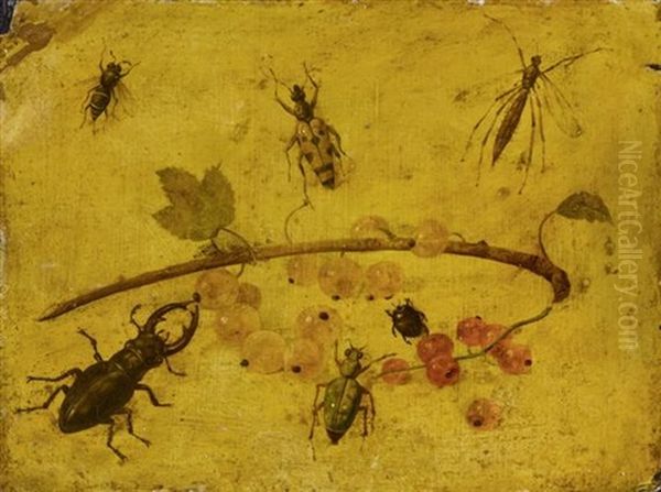 Hirschkafer Und Andere Insekten Um Rote Und Weisse Johannisbeeren (study) Oil Painting by Jan van Kessel the Elder