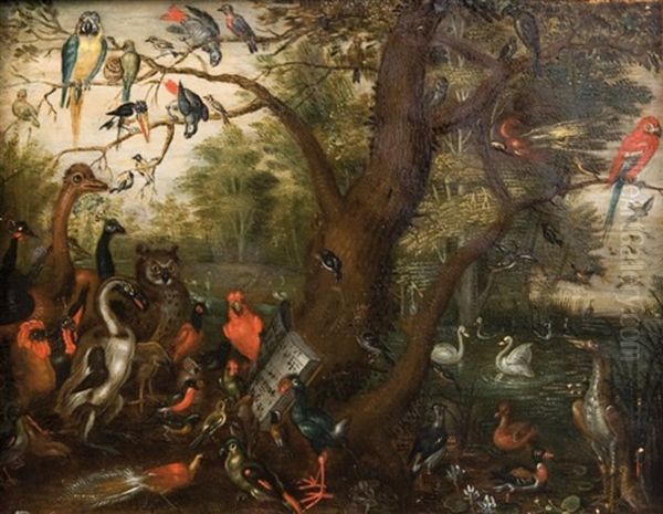 Concert D'oiseaux Oil Painting by Jan van Kessel the Elder